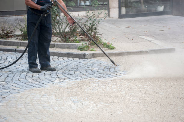 Best Animal Enclosure Cleaning  in Chaska, MN